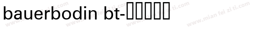 bauerbodin bt字体转换